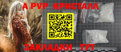 стаф Малоярославец