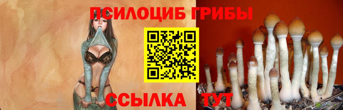 Псилоцибиновые грибы мицелий  Вход с VPN  Чапаевск 