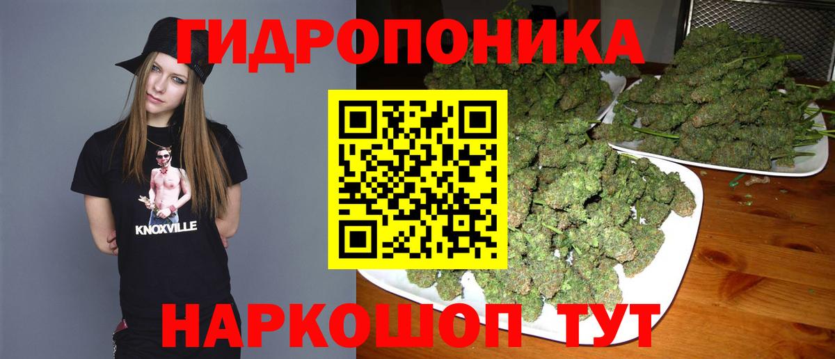Каннабис гибрид Чапаевск