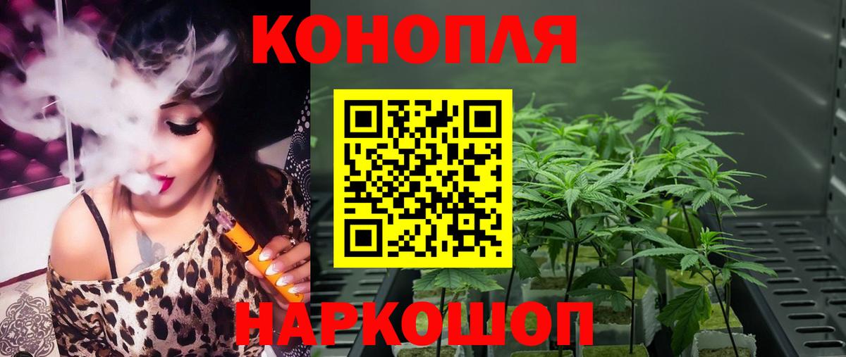 Бошки марихуана тримм  Вход с VPN  Чапаевск  Каннабис Ganja  Бошки Шишки конопля 